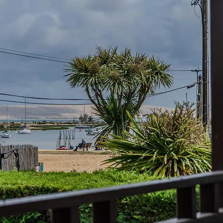 Ferienhaus Cap Ferret Apercu Bassin Ref 4120